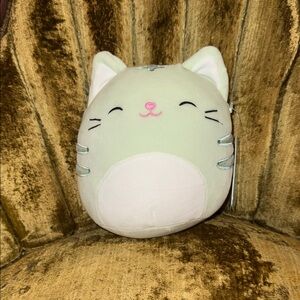 Mint Green Cat Plush Toy - Squishmallow Chase 8”